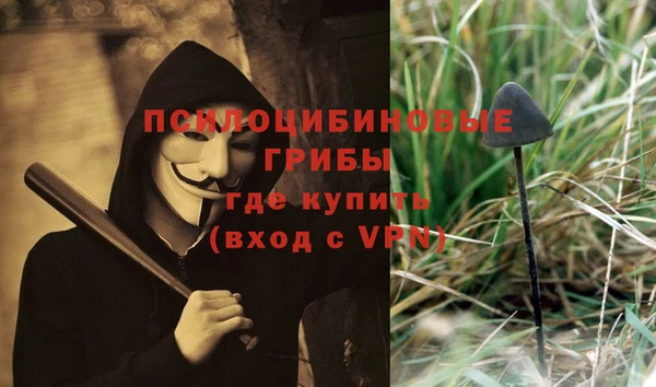 мяу мяу мука Ессентукская