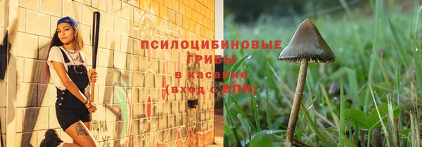 стаф Краснотурьинск