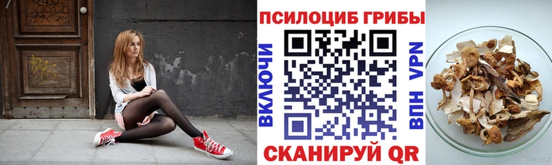 omg онион  Городище  Псилоцибиновые грибы Magic Shrooms 